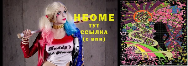 СК Алексин