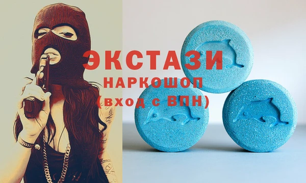 стаф Новодвинск