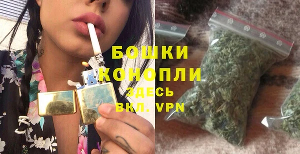 стаф Новодвинск