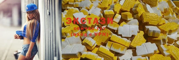 СК Алексин