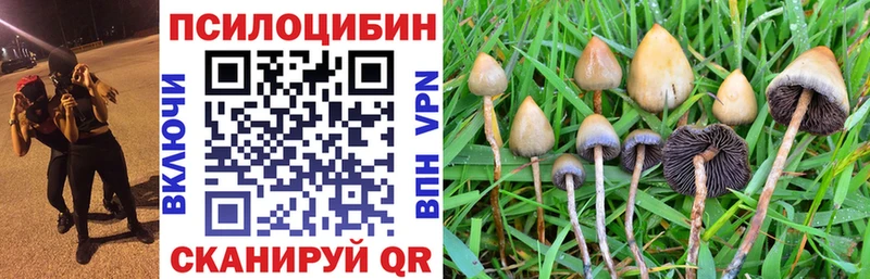 купить наркоту  kraken tor  Галлюциногенные грибы MAGIC MUSHROOMS  Армянск 